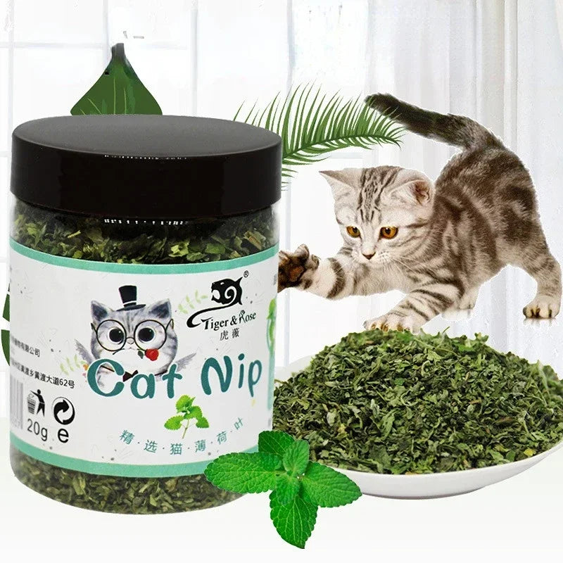 Organic 100% Natural High Quality Catnip Cattle Grass  Mint Taste Funny Cat Toy New Cat Toy Interactive Cat Toys Pet Supplies