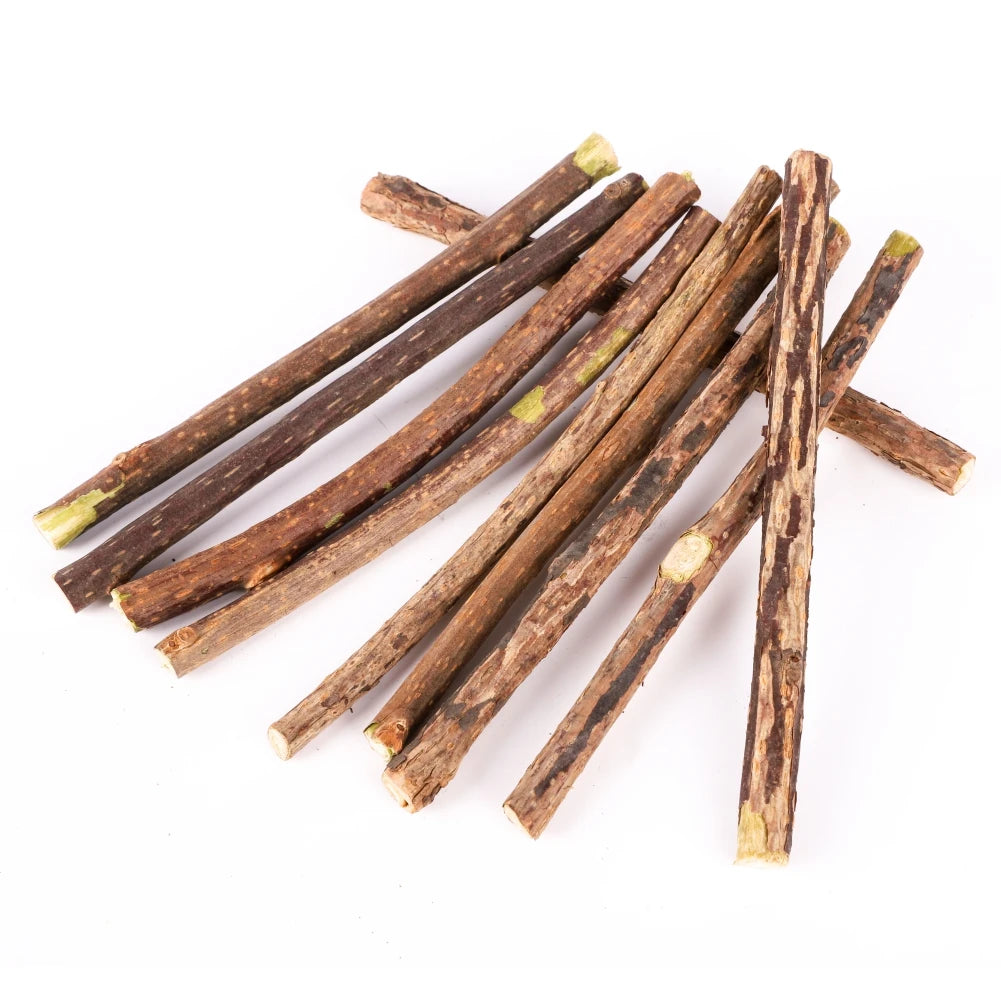 Silvervine Sticks for Cats Natural Catnip Chew Sticks Teeth Molar Chewing Toys for Cat Kitten Kitty Gifts