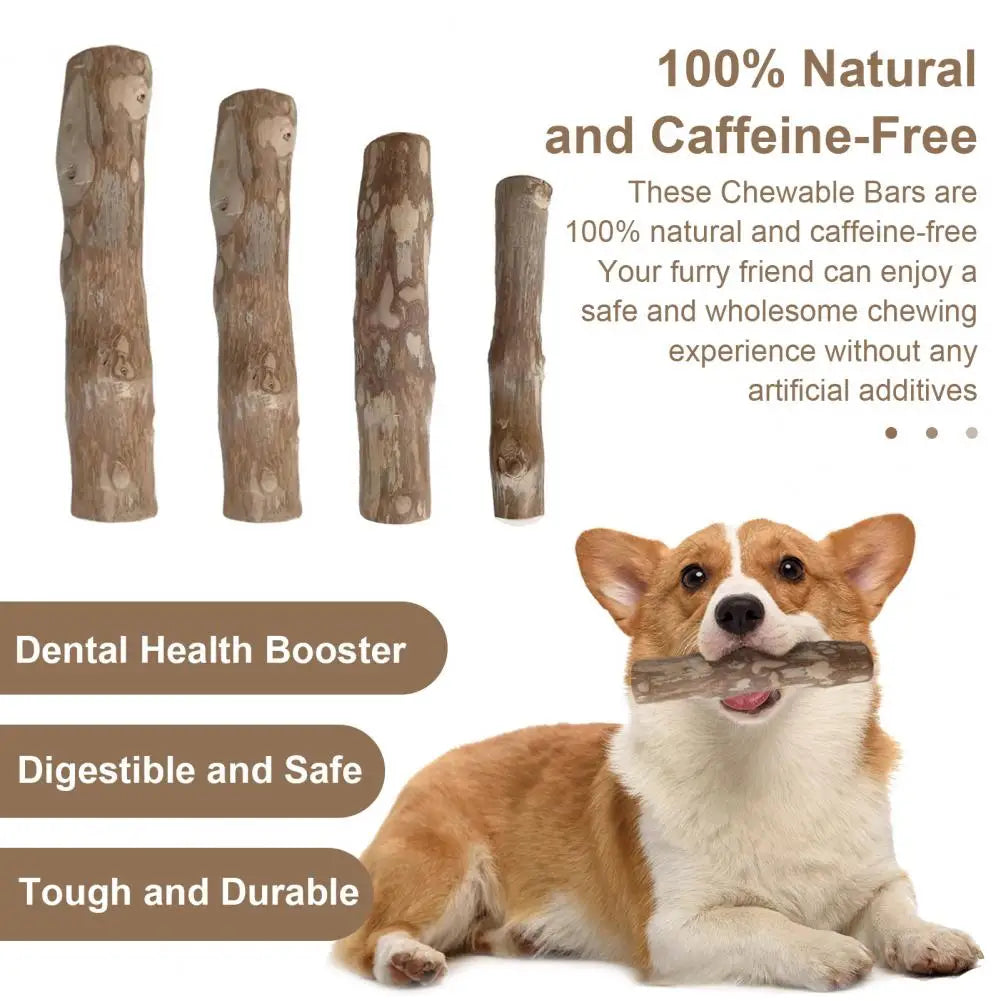 Coffee Plant Dog Toys Dog Toys Natural Wooden Dog Chew Sticks for Teeth Stress Relief Wood Chews Toy for Dental Health Care 100