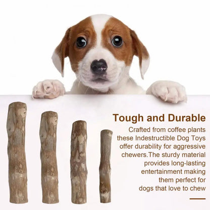 Coffee Plant Dog Toys Dog Toys Natural Wooden Dog Chew Sticks for Teeth Stress Relief Wood Chews Toy for Dental Health Care 100