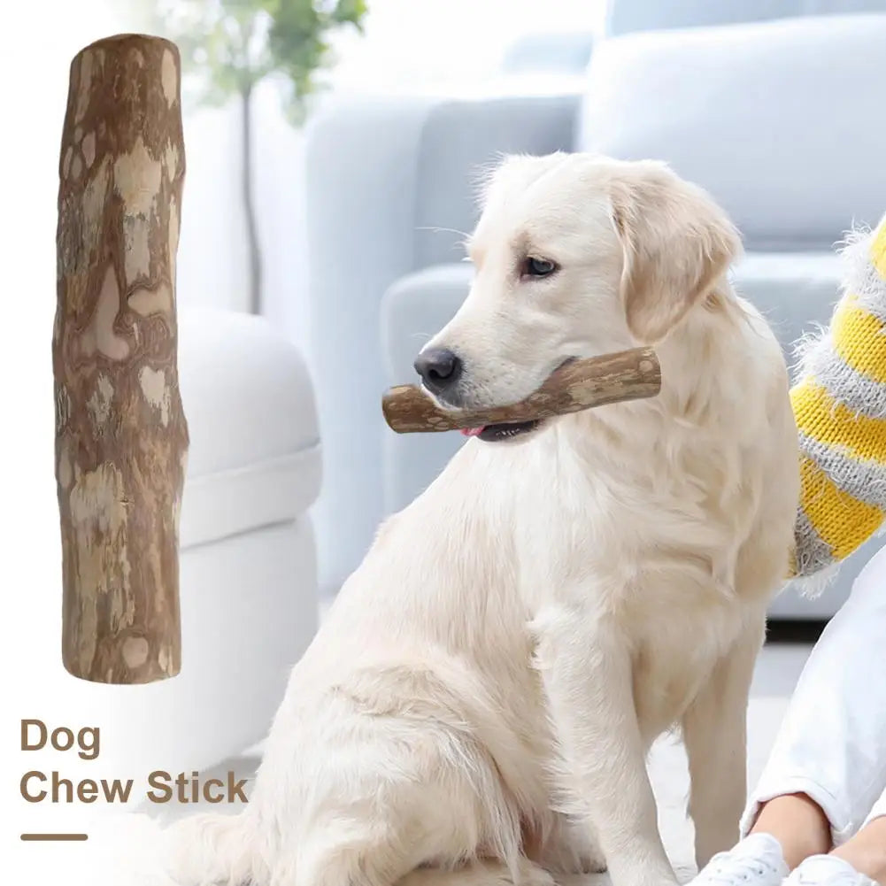 Coffee Plant Dog Toys Dog Toys Natural Wooden Dog Chew Sticks for Teeth Stress Relief Wood Chews Toy for Dental Health Care 100